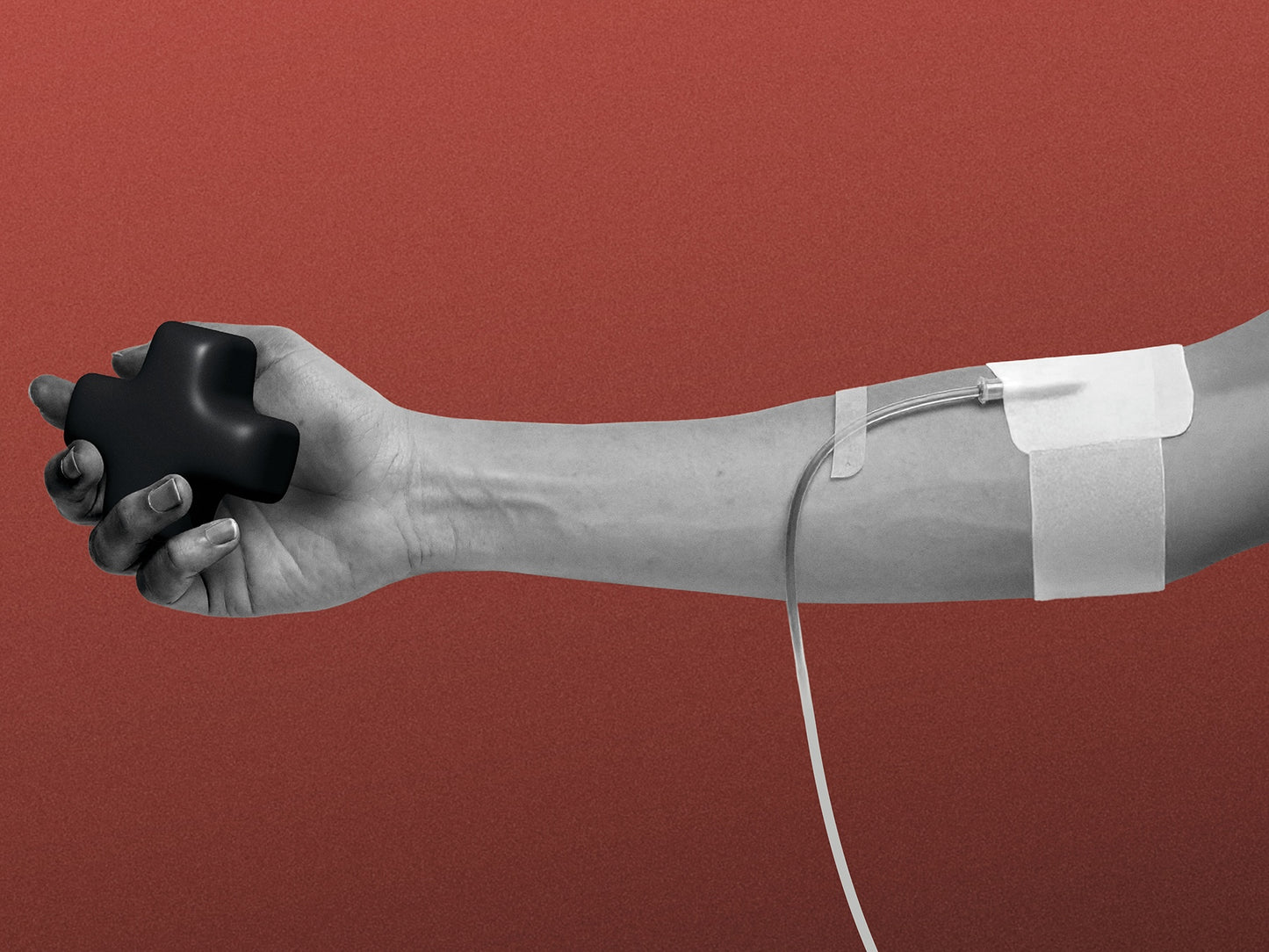 Donate Today – Celebrate Tomorrow (and Regret the Day After)