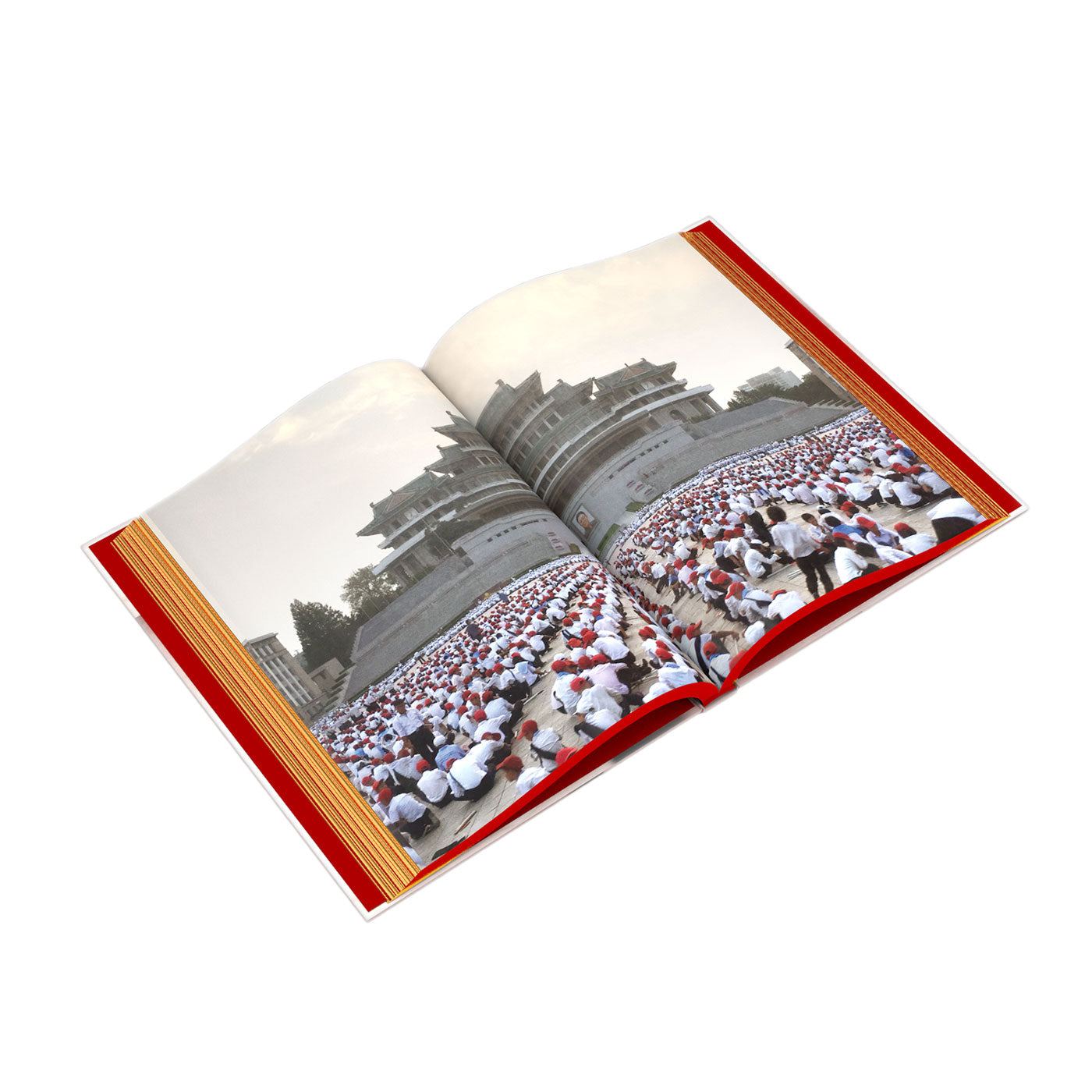 LIBERATION DAYS, Laibach and North Korea - Book